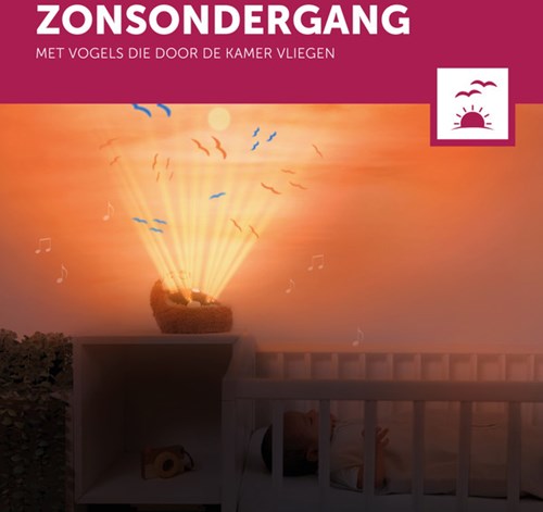 ZAZU - Sunset Projector - Henry the hedgehog-2