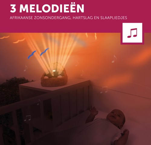ZAZU - Sunset Projector - Henry the hedgehog-3