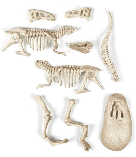 Clementoni archeologie speelgoed T-Rex fluoriserend 7+ educatief-2