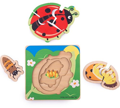 Bigjigs levenscyclus puzzel lieveheersbeestje-2