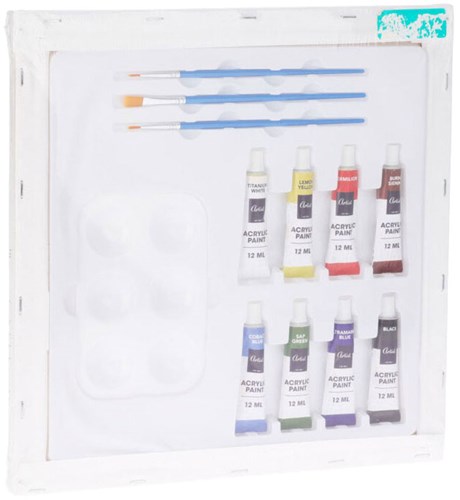 Schilderset met Canvas, 12dlg.