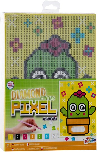 Diamond Painting, Pixel op Nummer Canvas - Cactus