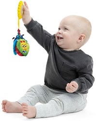 Baby Einstein sensorisch speelgoed buggy - Touch of Nature - multicolor
