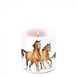 Ambiente kaars Wild horses klein paraffine decoratie