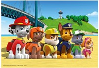 Ravensburger PAW Patrol puzzel - Dappere honden 2x24 stukjes karton-3
