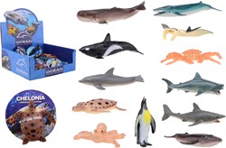 36 dierenwereld zeedieren in displ.26867