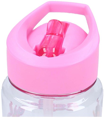 Vadobag drinkfles Gabby's Poppenhuis met rietje 450ml voor kinderen-3