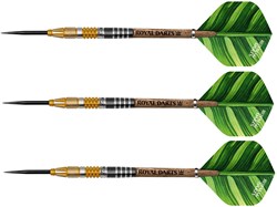 Royal Darts steeltip dartpijlen Green Line 21 gram NT95 precisie