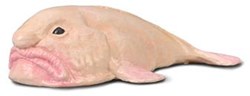 Collecta blobvis speelgoedfiguur - realistische zeedieren miniatuur
