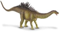 COLLECTA Agustinia - (L)