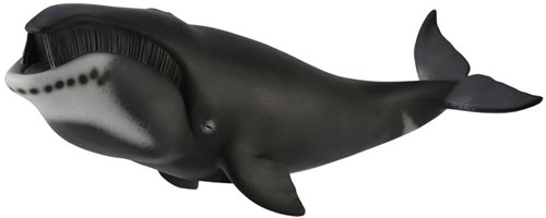 COLLECTA Groenlandse Walvis - (XL)