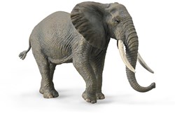 COLLECTA Afrikaanse Olifant - (XL)