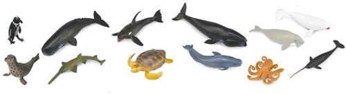 COLLECTA Set Van 12 Zeedieren-2