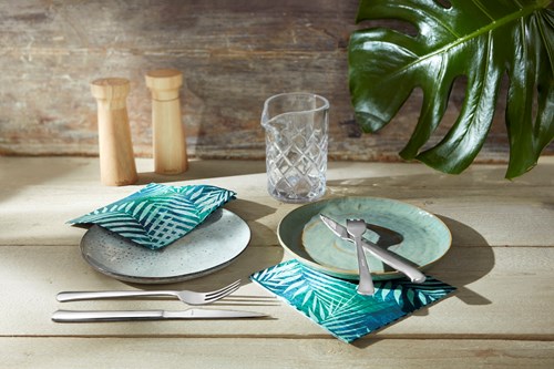 Amefa steakmessen Chuletero 6 stuks RVS zilver vaatwasserbestendig