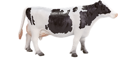 Mojo Farm speelgoed Holstein Koe - 387062