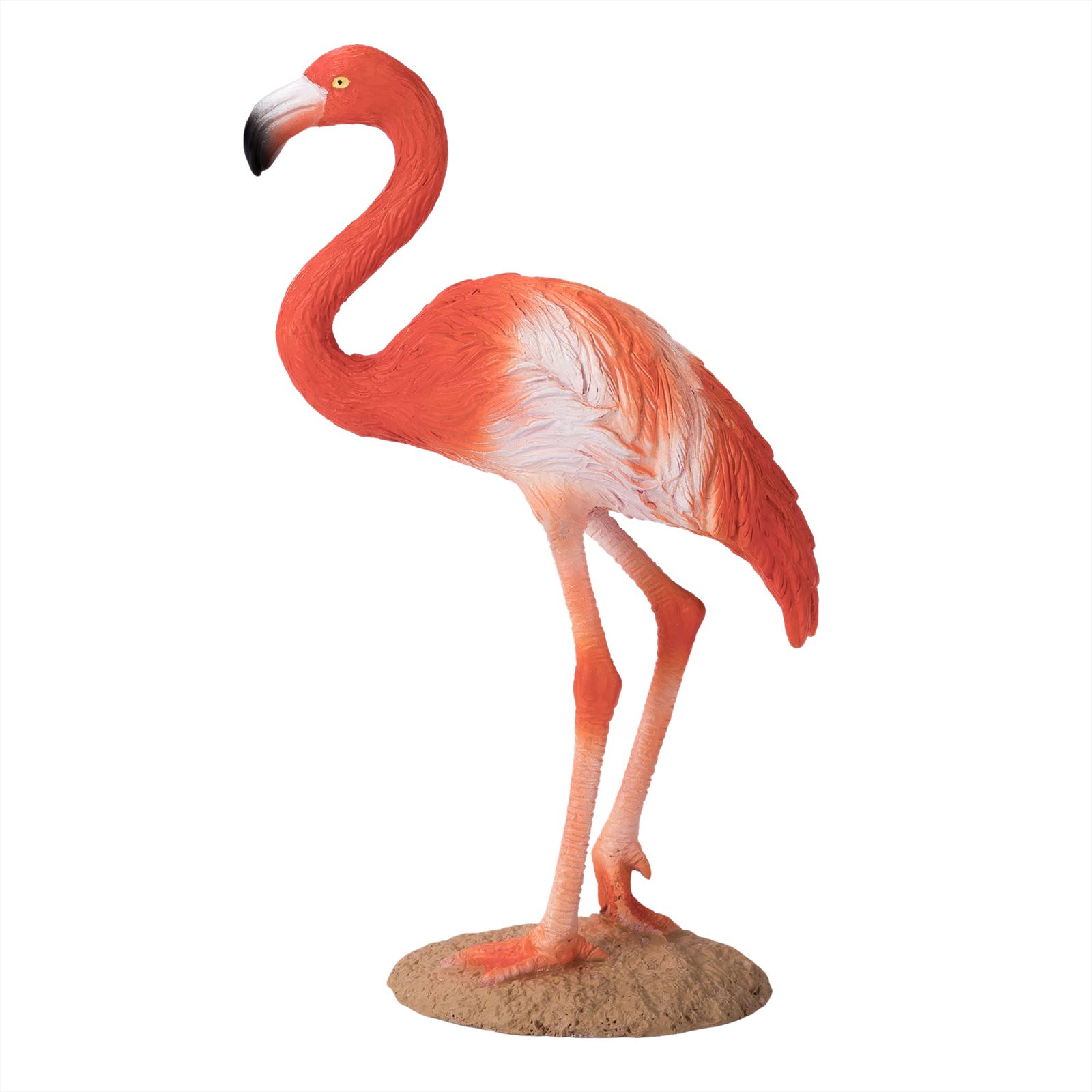 Opblazen verschijnen hengel Mojo Wildlife speelgoed Amerikaanse Flamingo - 387134 kopen?