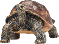 Mojo Wildlife speelgoed Reuzenschildpad - 387259