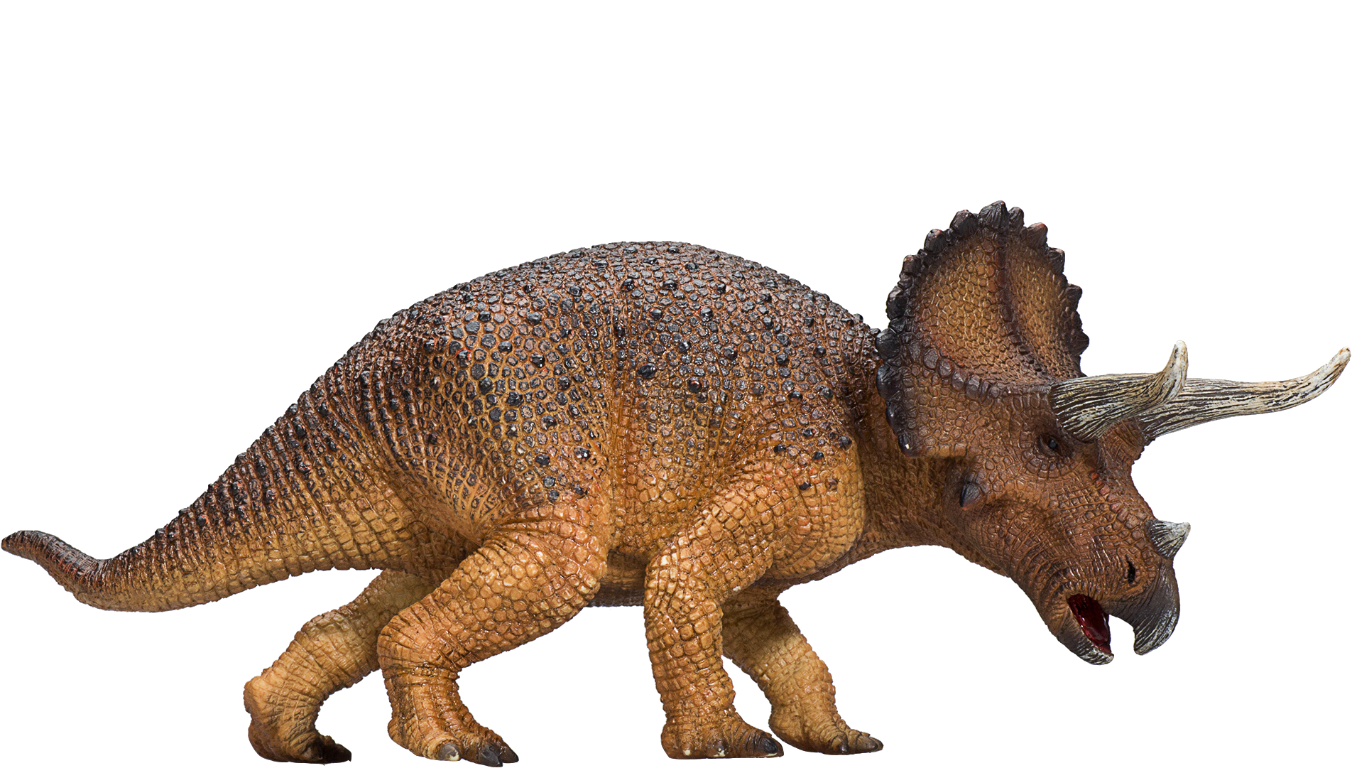 steak fiets Nieuwsgierigheid Mojo speelgoed dinosaurus Triceratops 387364 kopen?
