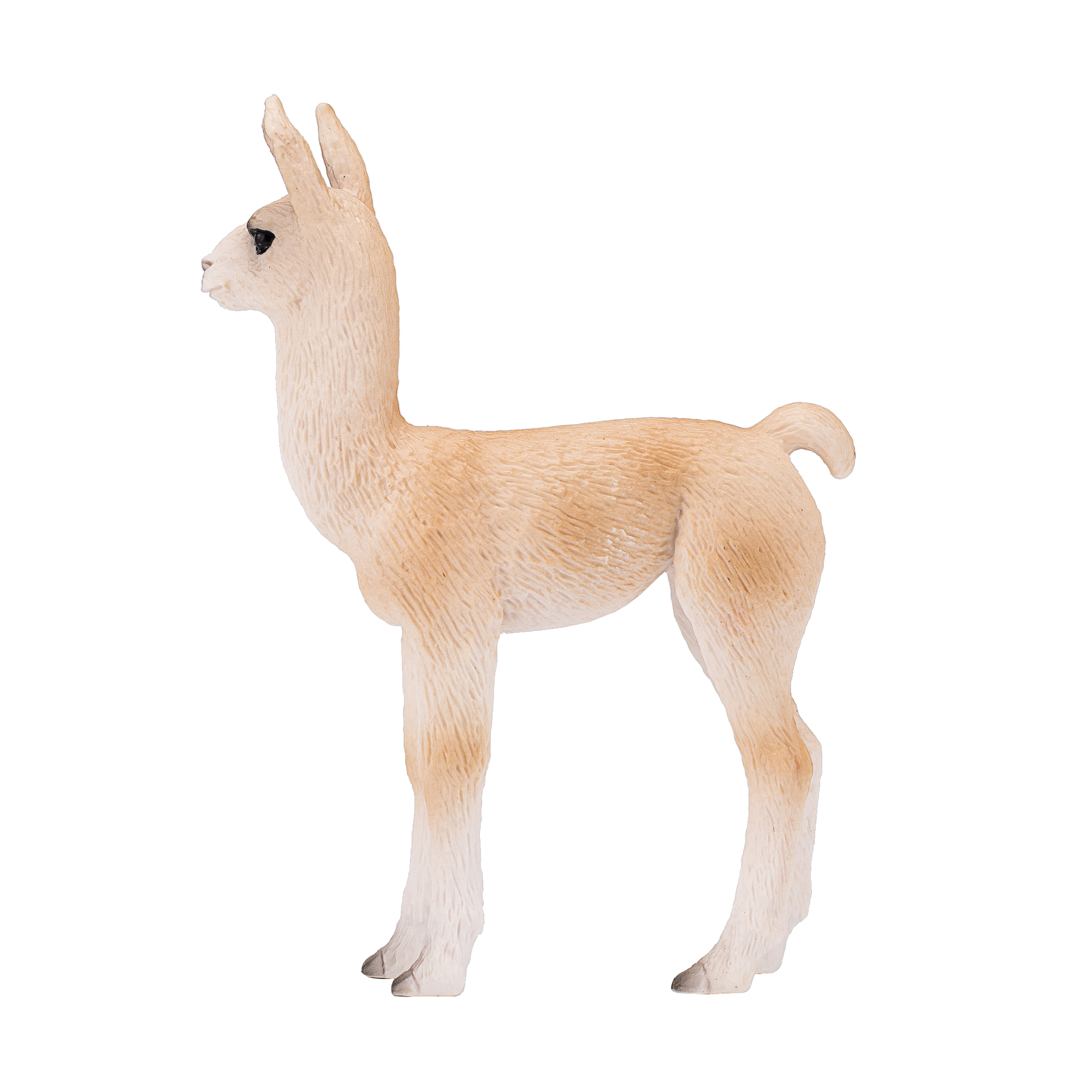 Mini Lama Running Baby Lama Photograph By Alex Mironyuk Pixels