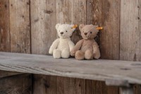 Steiff Soft Cuddly Friends Thommy Teddy bear, light brown-2