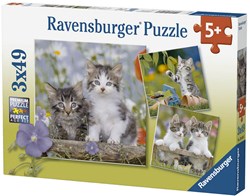 Ravensburger legpuzzel katten - 3x49 stukjes - kinderpuzzel dieren