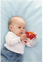 Haba bijtring lieveheersbeestje baby bijtspeelgoed multikleur-2