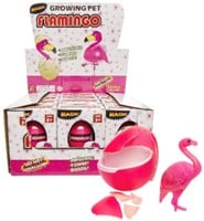 12 groeiende flamingo in ei in disp 9241