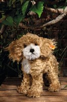 Steiff pluche Ricky Cockapoo, light brown - 27 cm-2