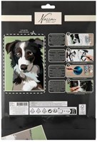 Schilderen op nummer hond-2