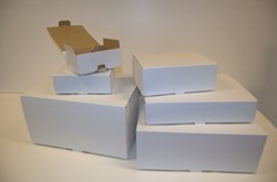 10 postverzenddozen nr. 5 01096325