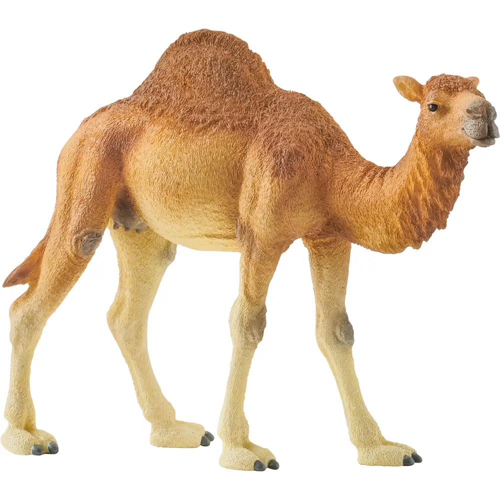 Schleich Safari - Dromedaris speelfiguur 14832 kinderspeelgoed