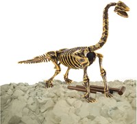 Dino Base 3D skelet Brachiosaurus uitbikken - dinosaurus speelgoed set-2