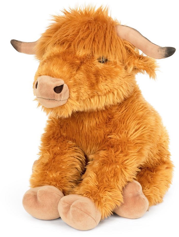 schotse hooglander in Drenthe op het Orvelterveld, higlander, cow