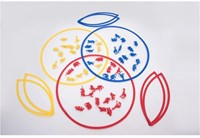 TickiT educatieve sorteerringen set - 25cm - kleurrijk speelgoed-2