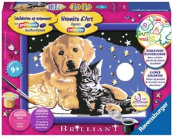 Ravensburger schilderen sterrenhemel creatief speelgoed - schilderen op nummer