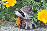 Eugy 3D bouwpakket wasbeer - creatief knutselplezier voor kinderen-3