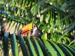 Eugy 3D puzzel toekan - kartonnen dieren knutselset