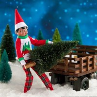 Elf On The Shelf pyjama bomen en boerderij voor poppen - kerstaccessoire-3