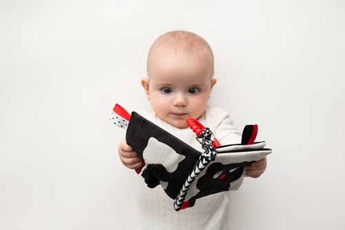 Mom's Care SOFT BABY TOYS The book Who is it? What's that? 9