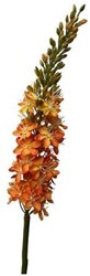 Roberts Collection kunstbloem eremures spray oranje decoratie 82cm