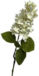 Hortensia cone real touch 75cm creme