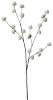 Roberts Collection kunsttak pompom wit decoratie 100cm