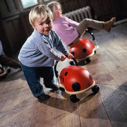 Wheelybug Loopauto Lieveheersbeestje Groot - Kinderloopauto-2