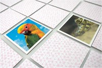 Tactic Babydieren memory spel - educatief kaartspel voor kinderen-3
