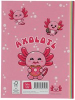 Image Books vriendenboek Axolotl hardcover 80 pagina's voor kinderen-2