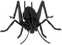 FRIDOLIN 3D Papier Model - Krekel