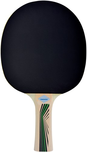 Schildkröt tafeltennisbat Legends 400 FSC voor beginners en recreatie-2