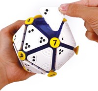 Recent Toys denkspel puzzel Icosoku breinbreker spel-2