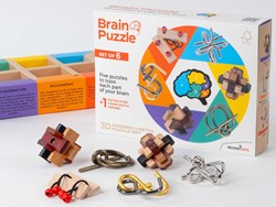 Recent Toys Brainpuzzel Set van 6