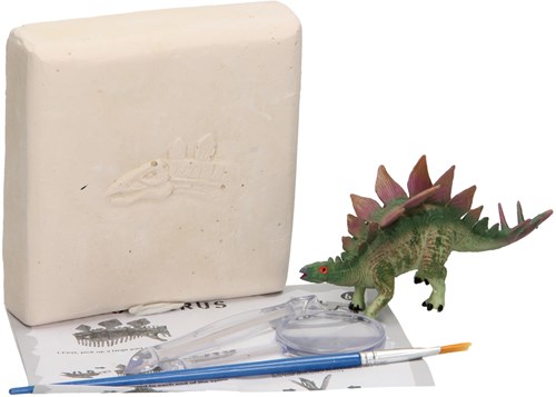 Dino skelet opgraven speelgoed - educatief dino fossiel set-2